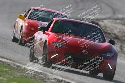 media/Jan-10-2026-Turn8 Trackdays (Sat) [[448b66da83]]/Green/Session 2 (Phil Hill)/